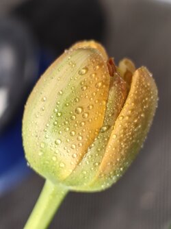 IMG_20240309_114904.jpg
