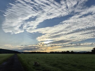IMG_20240817_071212.jpg