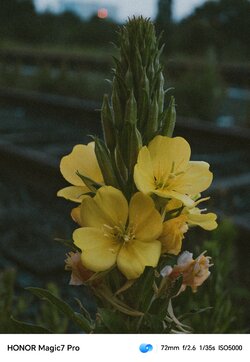 IMG_20250606_002036.jpg