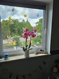 1000060917.jpg 1000060917.jpg