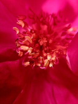 20250606_151018.jpg