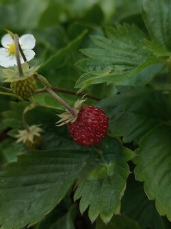 IMG20250606170510~2.jpg