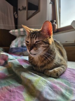 20250603_185528.jpg