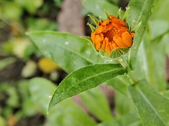 IMG20250606201454~2.jpg