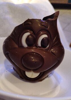 IMG_20250606_221511.jpg