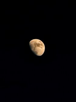 IMG20250606203517~3.jpg