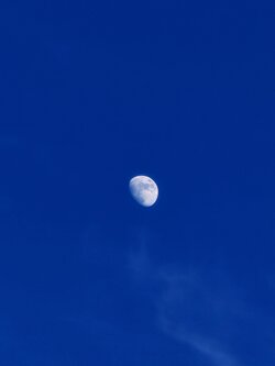 IMG20250606203923~2.jpg