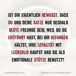 Quotes-Creator-com.ist_.quotescreator-1749173772905.png