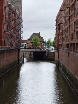289.jpg