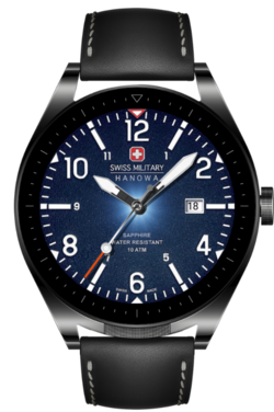 SwissMHGT3a_snapshot.png
