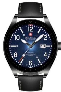 SwissMHGT3b_snapshot.png