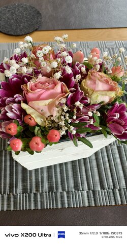 IMG_20250607_142638_082815.jpg