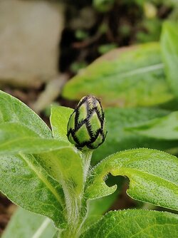 IMG20250607201051~2.jpg