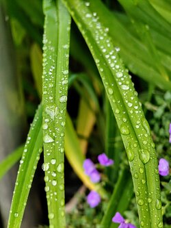 IMG20250607201110~2.jpg