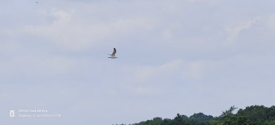 IMG20250603121804.jpg