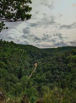 20250607_170638.JPG