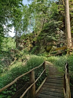 20250607_161451.JPG