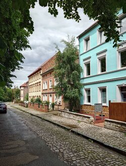 20250607_134035 (1).JPG