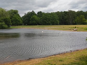 IMG_20250608_101353.jpg