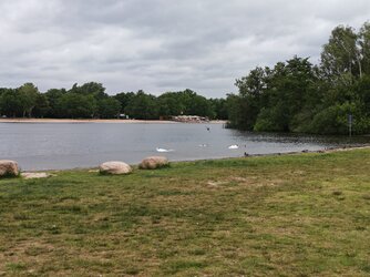 IMG_20250608_101714_Normal.jpg