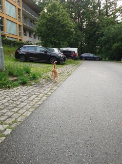 20250608_182703.JPG