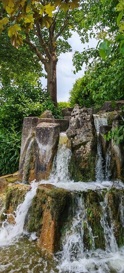 IMG_20250608_141455.jpg