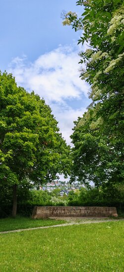 IMG_20250608_135119.jpg