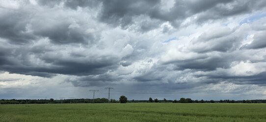 20250607_135416.jpg