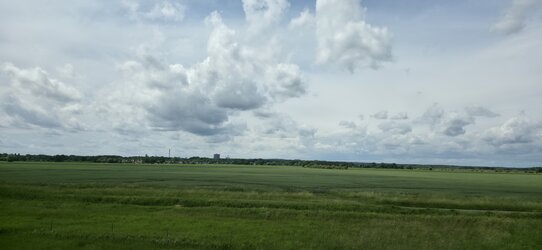 20250607_122903.jpg