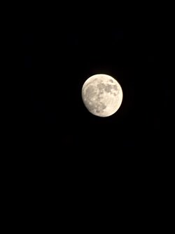 PXL_20250608_183920487.NIGHT.jpg