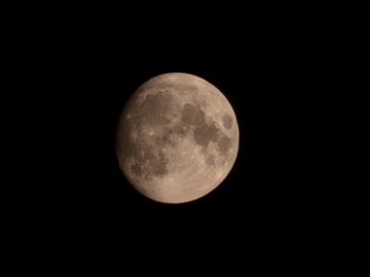 20250609_011705(1).jpg