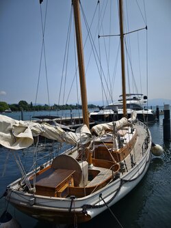 IMG_20250609_135822.jpg
