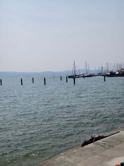 IMG_20250609_135633.jpg