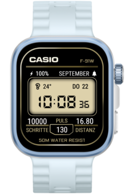 Casio_snapshot.png