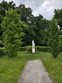 IMG_20250609_174334.jpg