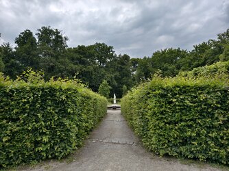 IMG_20250609_174011.jpg