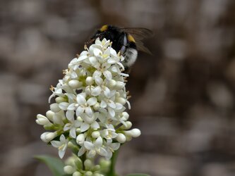 IMG_20250609_143705_1.jpg