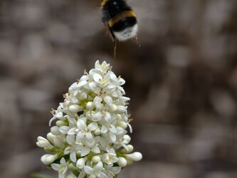 IMG_20250609_143706.jpg