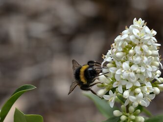 IMG_20250609_143659.jpg