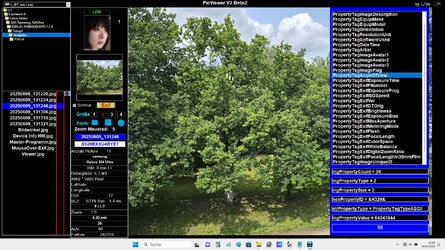 Viewer.jpg