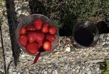 IMG_0892.jpeg