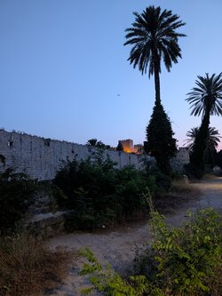 PXL_20250609_174758653.jpg