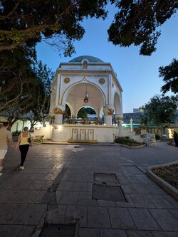 PXL_20250609_173940266.jpg