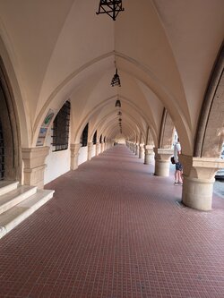 PXL_20250609_172317136.jpg