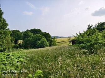 IMG_20250609_182045.jpg