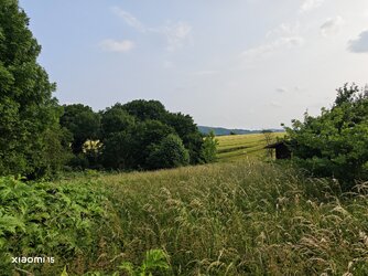IMG_20250609_182101.jpg