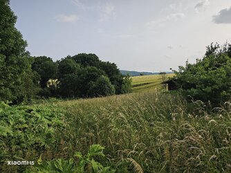 IMG_20250609_182110.jpg