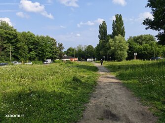 IMG_20250609_171851.jpg