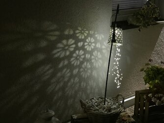 20250601_220341.jpg