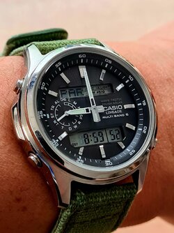 IMG_2216.jpeg